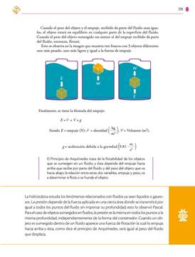 Saberes y Pensamiento Cientifico Segundo grado página 299