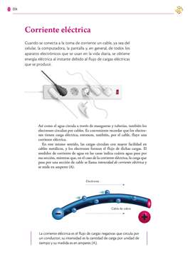 Saberes y Pensamiento Cientifico Segundo grado página 304