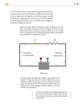 Saberes y Pensamiento Cientifico Segundo grado página 307