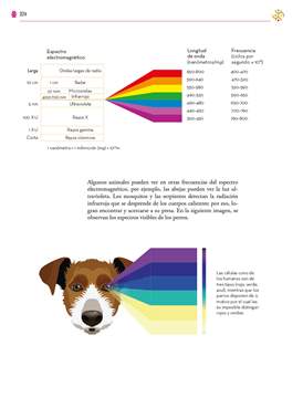 Saberes y Pensamiento Cientifico Segundo grado página 324