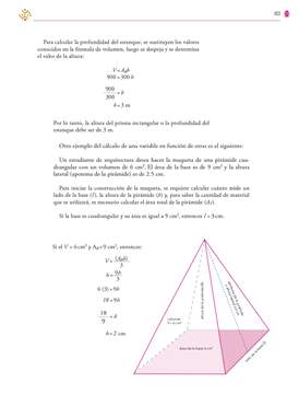 Saberes y Pensamiento Cientifico Tercer grado página 103