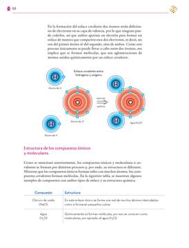 Saberes y Pensamiento Cientifico Tercer grado página 168