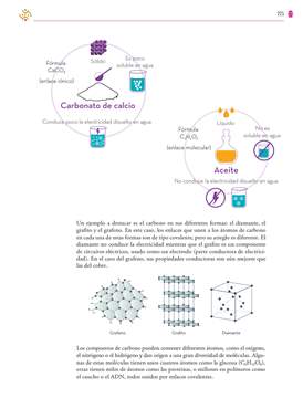 Saberes y Pensamiento Cientifico Tercer grado página 225