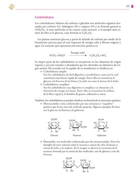 Saberes y Pensamiento Cientifico Tercer grado página 237