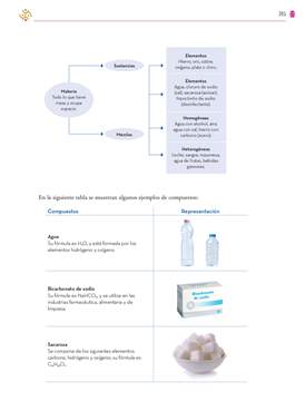 Saberes y Pensamiento Cientifico Tercer grado página 265