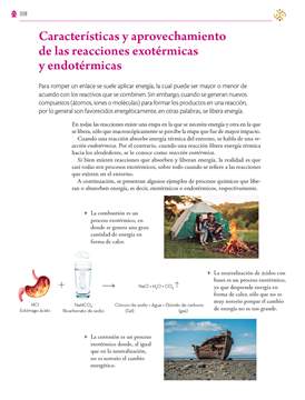 Saberes y Pensamiento Cientifico Tercer grado página 308