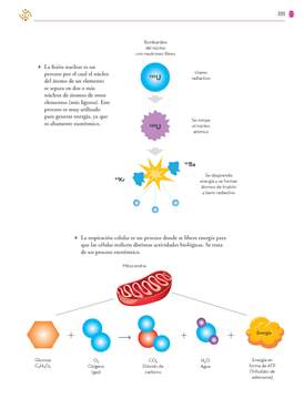 Saberes y Pensamiento Cientifico Tercer grado página 309