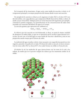 Saberes y Pensamiento Cientifico Tercer grado página 317